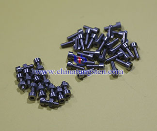 TZM Alloy Bolt Picture