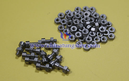 TZM Alloy Fastener Picture