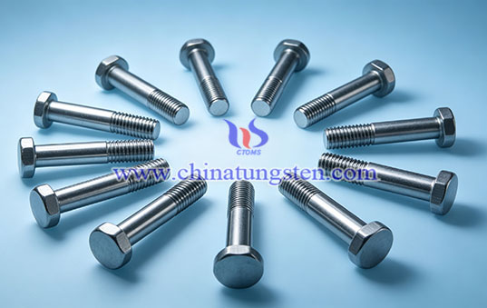 TZM Alloy Screw Picture