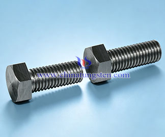 TZM Alloy Screw Picture